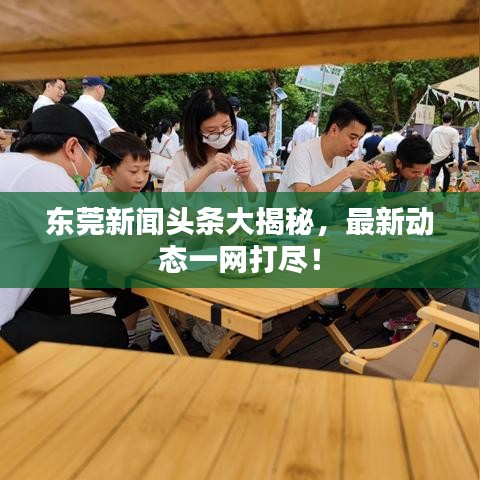 东莞新闻头条大揭秘，最新动态一网打尽！