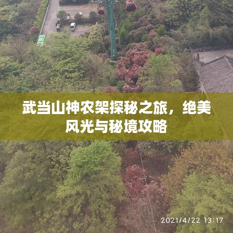 武当山神农架探秘之旅，绝美风光与秘境攻略