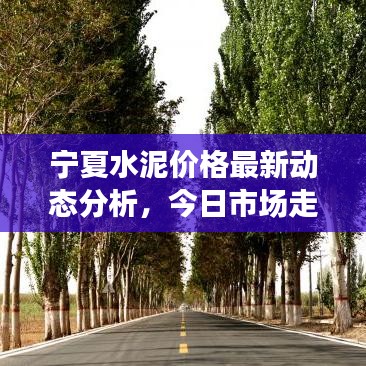 宁夏水泥价格最新动态分析，今日市场走势及影响因素揭秘