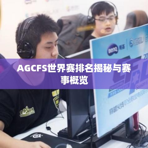 AGCFS世界赛排名揭秘与赛事概览