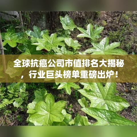 全球抗癌公司市值排名大揭秘，行业巨头榜单重磅出炉！