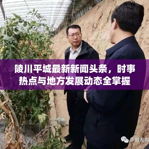陵川平城最新新闻头条，时事热点与地方发展动态全掌握