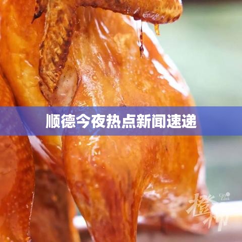 顺德今夜热点新闻速递