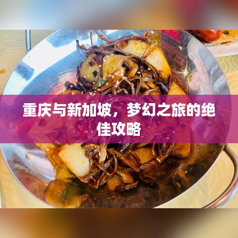 重庆与新加坡，梦幻之旅的绝佳攻略