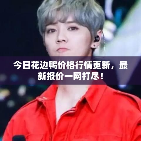 今日花边鸭价格行情更新，最新报价一网打尽！