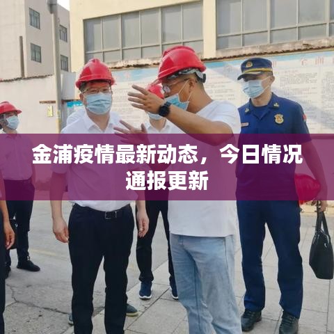 金浦疫情最新动态，今日情况通报更新
