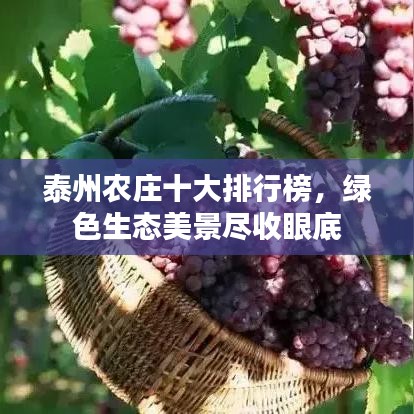 泰州农庄十大排行榜，绿色生态美景尽收眼底