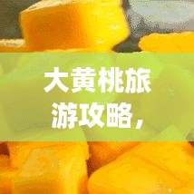 大黄桃旅游攻略，品味果实盛宴，畅游桃源仙境