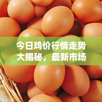 今日鸡价行情走势大揭秘，最新市场分析与未来预测