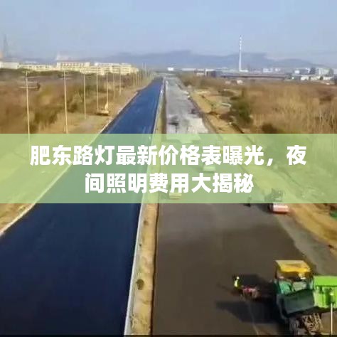 肥东路灯最新价格表曝光，夜间照明费用大揭秘