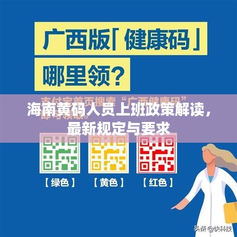 海南黄码人员上班政策解读，最新规定与要求