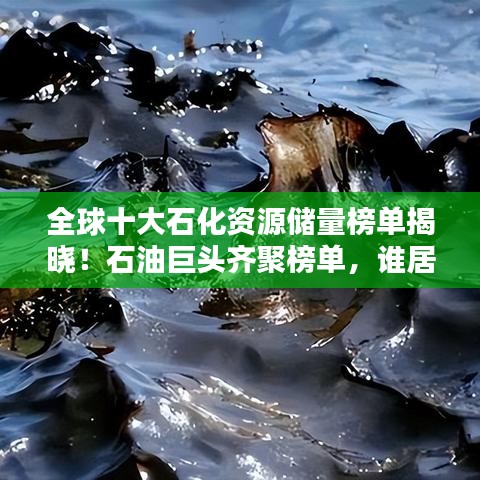 全球十大石化资源储量榜单揭晓！石油巨头齐聚榜单，谁居榜首？