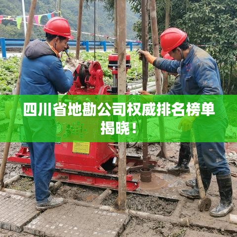 四川省地勘公司权威排名榜单揭晓！
