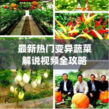 最新热门变异蔬菜解说视频全攻略