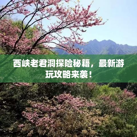 西峡老君洞探险秘籍，最新游玩攻略来袭！