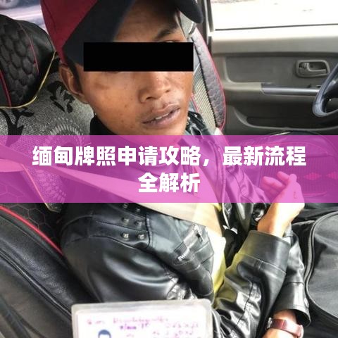 缅甸牌照申请攻略，最新流程全解析