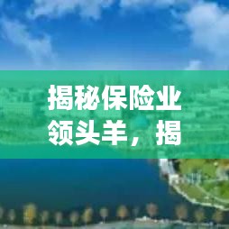 揭秘保险业领头羊，揭秘排名第一背后的考量因素与成功秘诀！