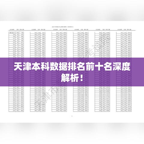 天津本科数据排名前十名深度解析！