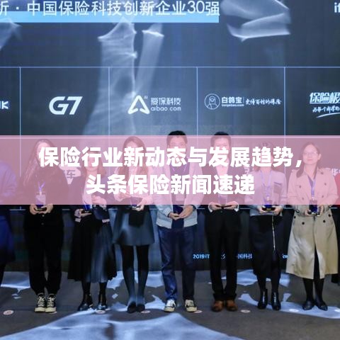 保险行业新动态与发展趋势，头条保险新闻速递