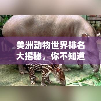 美洲动物世界排名大揭秘，你不知道的惊人排名榜单！
