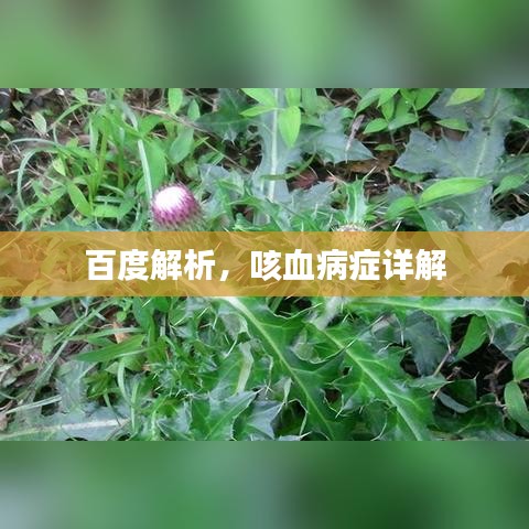 百度解析，咳血病症详解