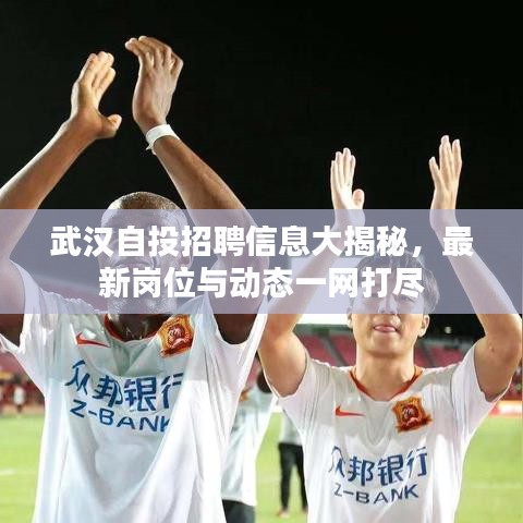 武汉自投招聘信息大揭秘，最新岗位与动态一网打尽
