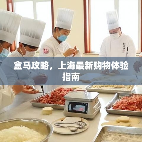 盒马攻略，上海最新购物体验指南