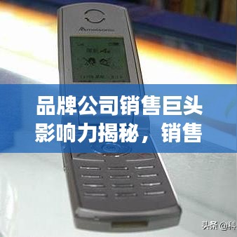 品牌公司销售巨头影响力揭秘，销售公司排名榜单重磅出炉！