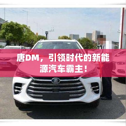 唐DM，引领时代的新能源汽车霸主！