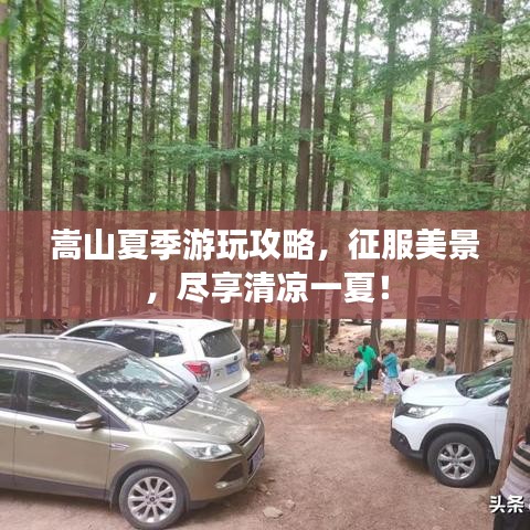 嵩山夏季游玩攻略，征服美景，尽享清凉一夏！