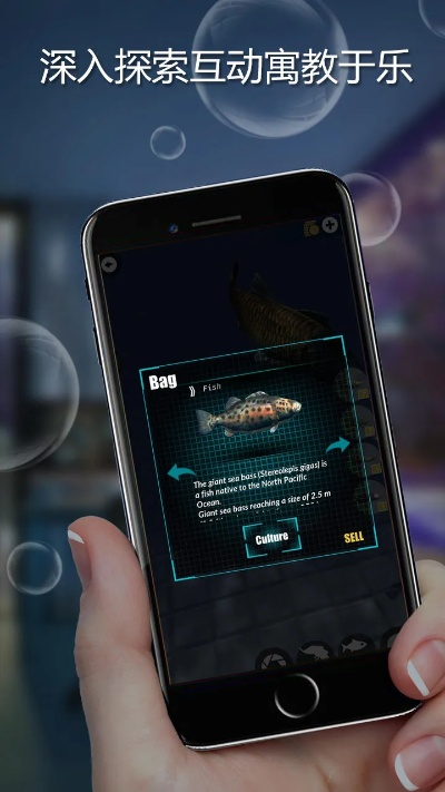 whatsfish官方下载,综合数据解析说明|AR版_v9.774