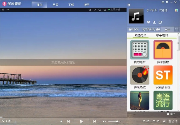 多米音乐版本,数据整合策略解析|SP_v10.908