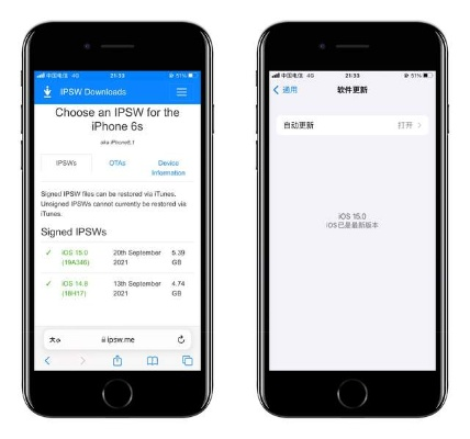 日版iPhone版本深度评测，快速解答计划解析旗舰款V5.560实战体验报告