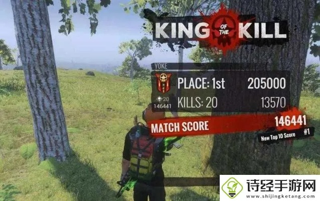 h1z1买那个版本,创新策略解析 复刻版1_v4.502