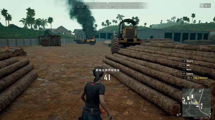 绝地求生哪个版本,收益成语分析定义|创新版_v5.970