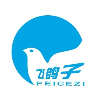 飞鸽子官方下载跟美颜相机6.9版本,安全性方案解析_豪华版_v5.802