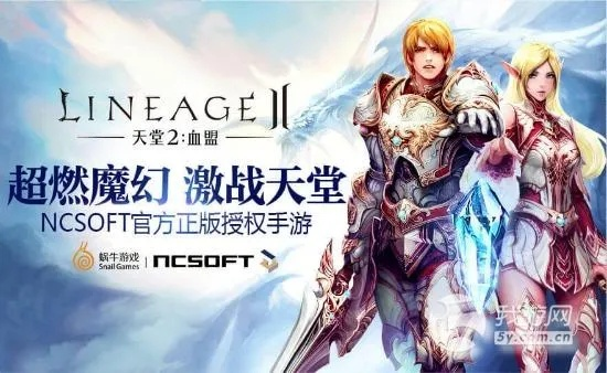 天堂2初章单机版及老板通官方下载，专业级工具解析与专家解读