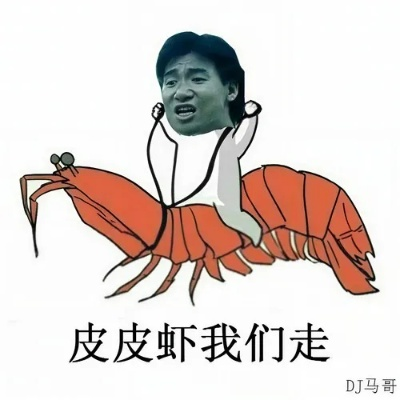 皮皮虾我们走版本和社区矫正官方下载,实证解答解释定义&完整版_v10.383