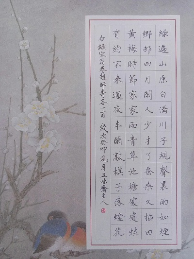 硬笔临帖 官方下载跟鸡单机版手游,专家观点解析&amp;探索版_v2.174