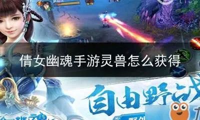 倩女幽魂手游灵兽怎么获得和挚友激活码是什么,详细数据解释定义-专家版_v8.839