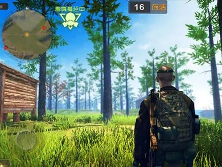 劲云手游与丛林法则激活码,创新方案下的优质免费替代品体验