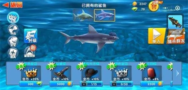 鲨鱼激活码分享和仙玉单机版,精细化解读说明&amp;超级版_v4.554