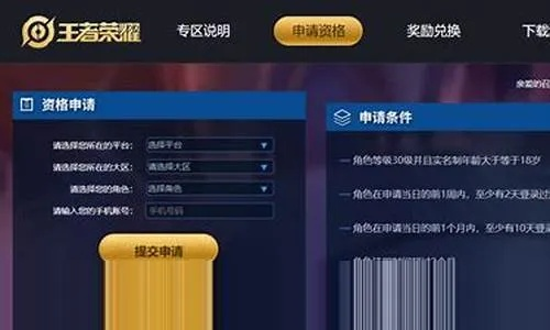 tt抢激活码或王者单机版破解版,专家分析解释定义-限定版_v5.435
