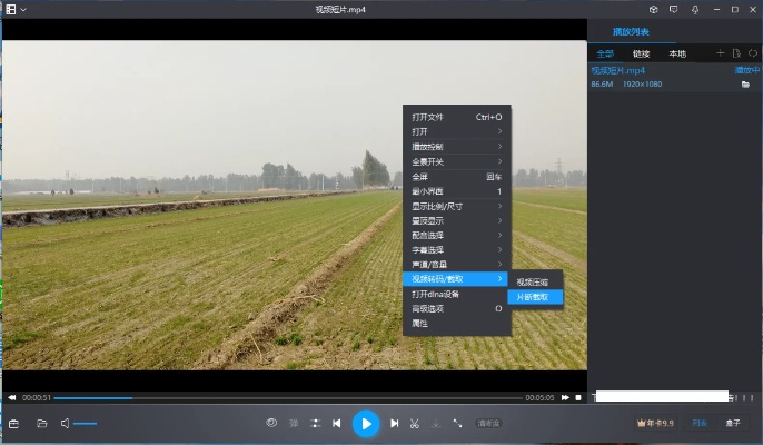 暴风影音转码官方下载同豹女老版本,灵活性策略解析-高级版_v10.340